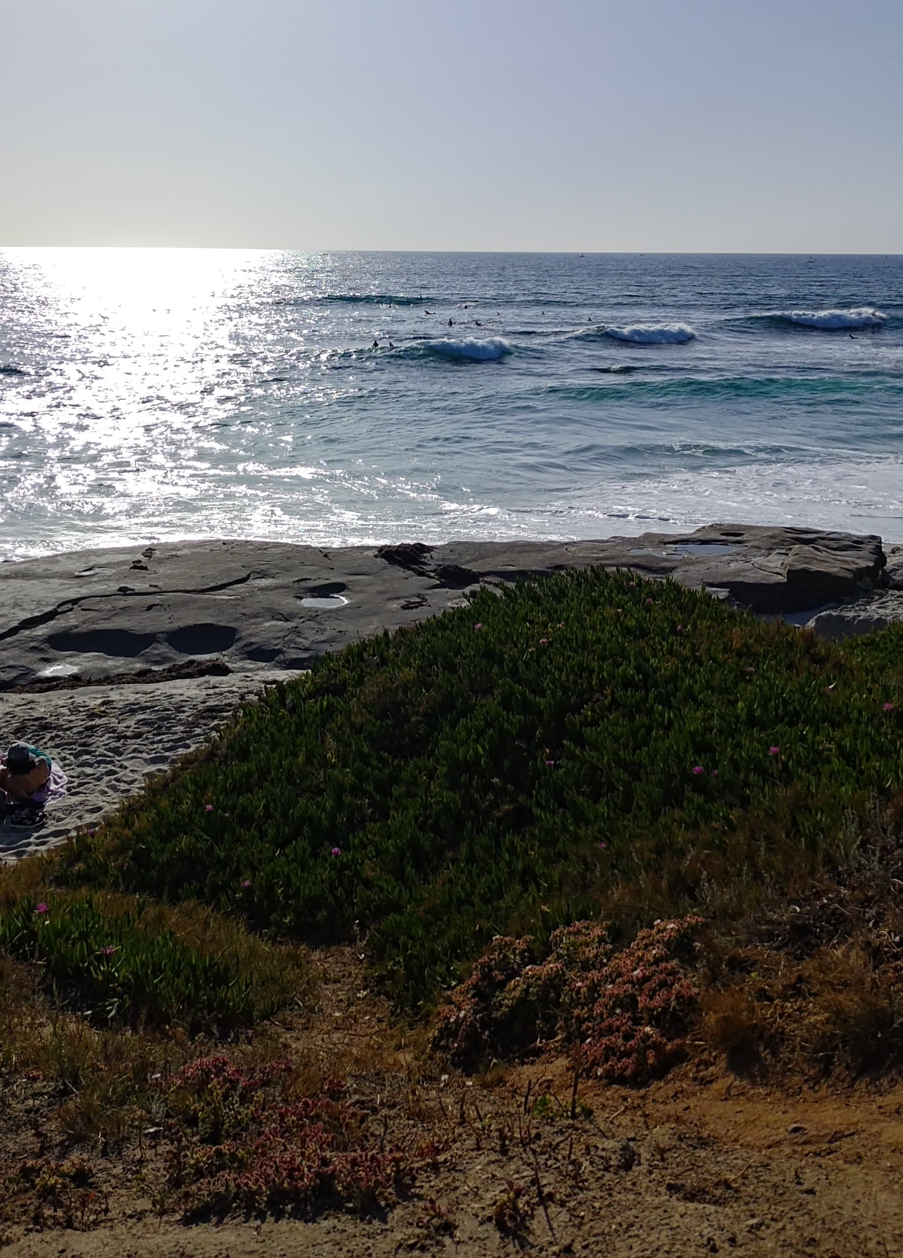 along the shore