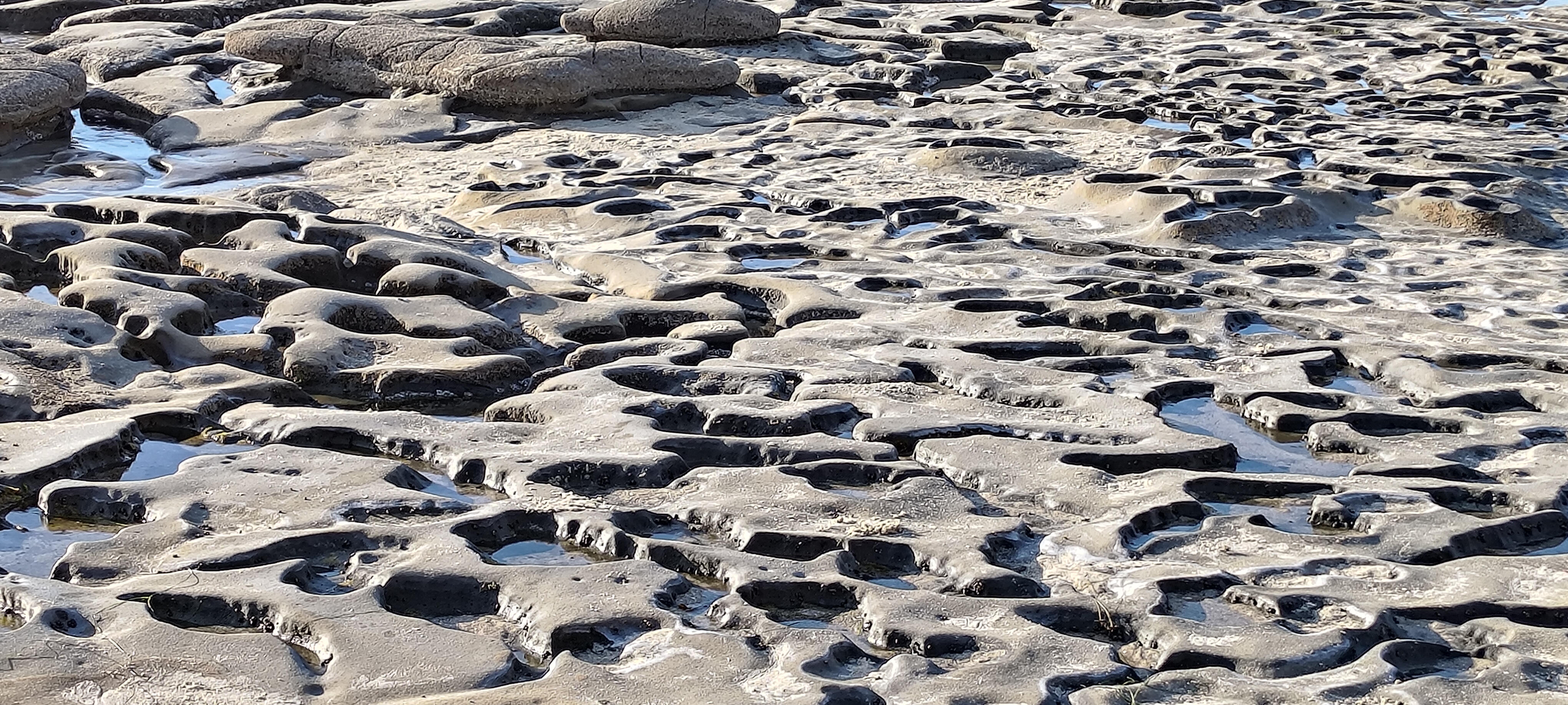 tide pools