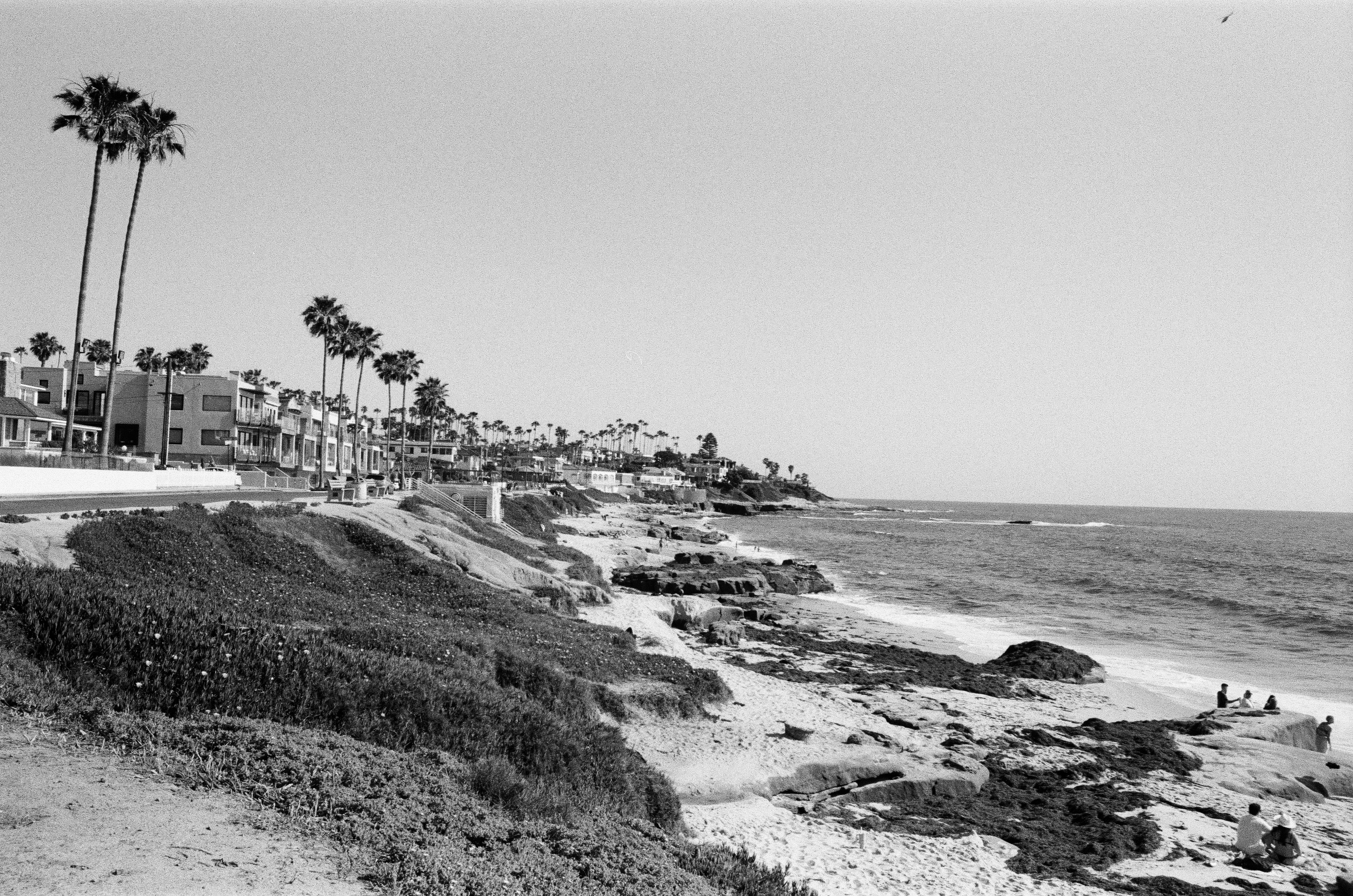 shoreline